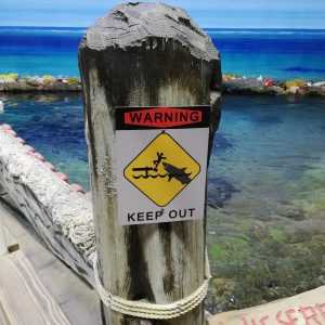 Vorsicht Haie