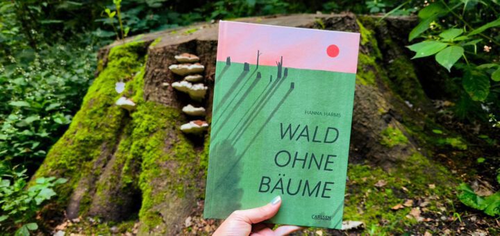 Wald ohne Bäume
