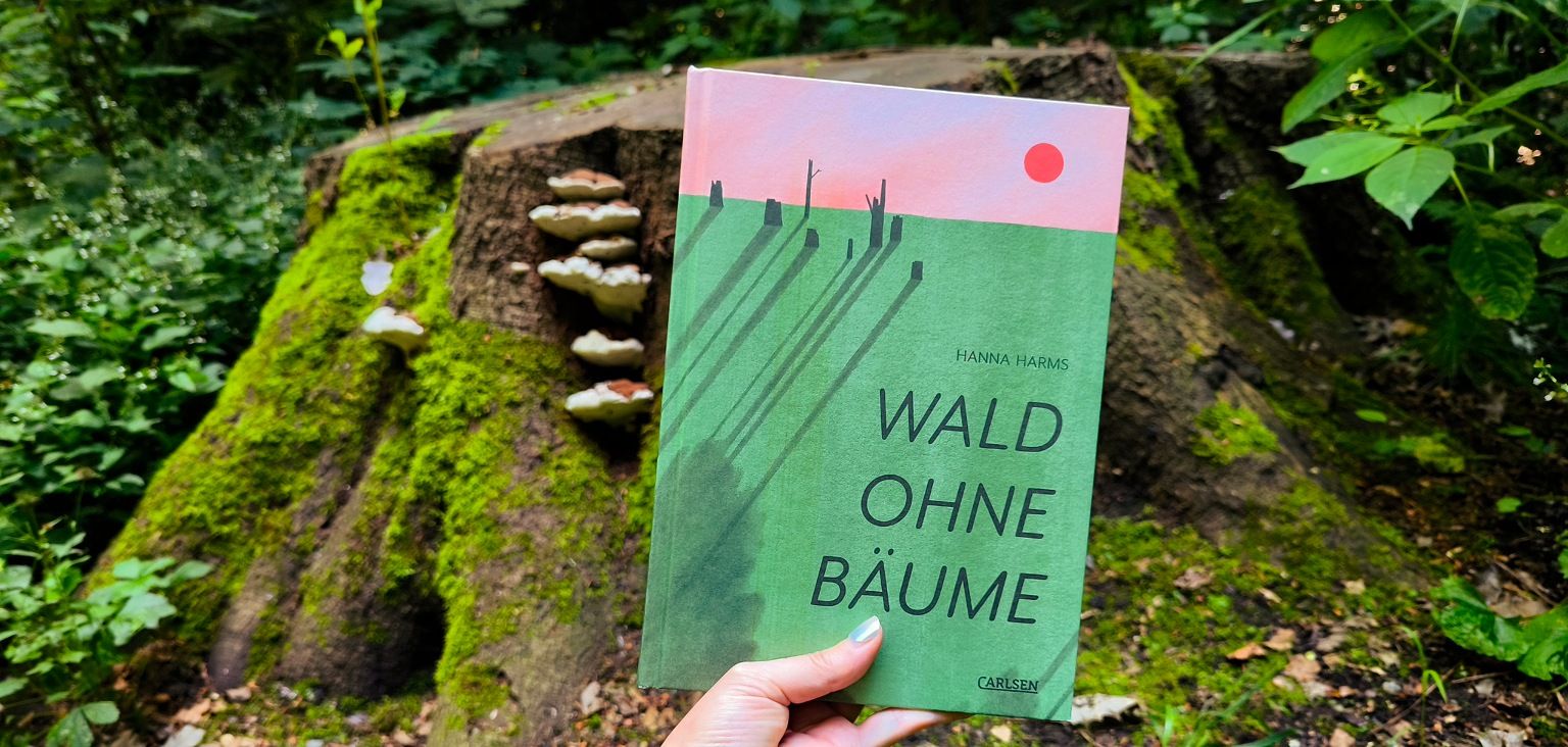Wald ohne Bäume